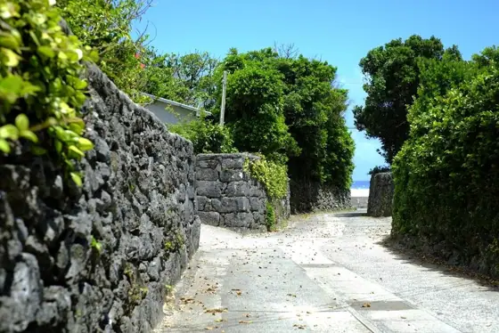 Coral Stone Walls