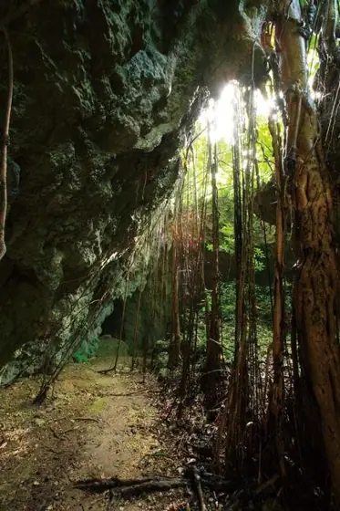 Ufuyaguchi Limestone Cave
