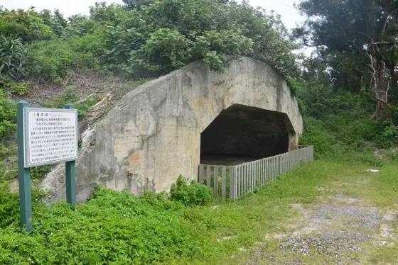 Aircraft Shelter