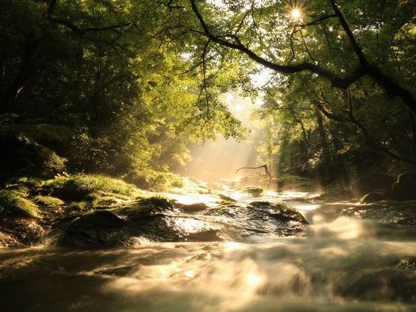 Kikuchi Gorge