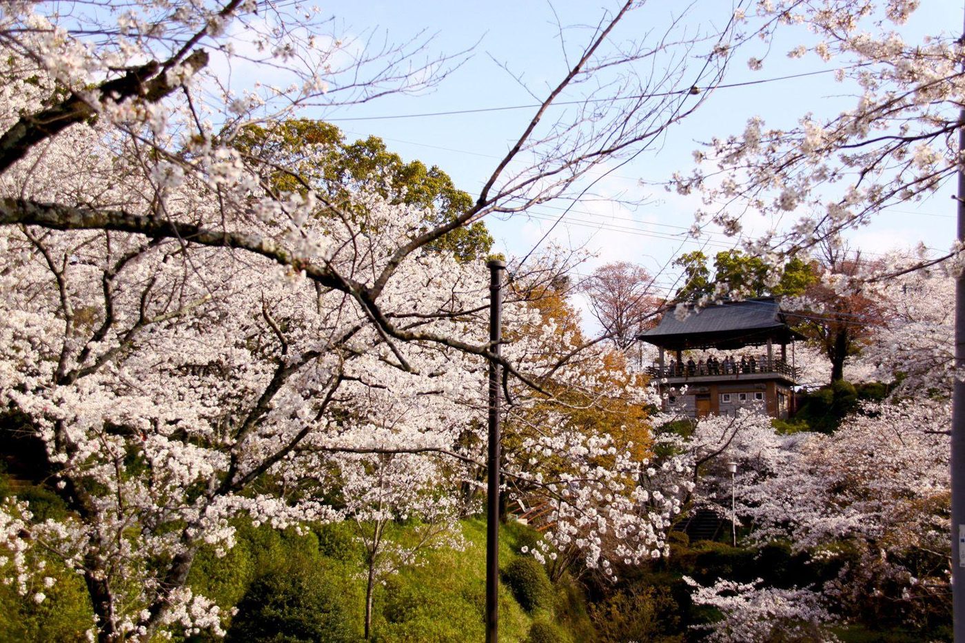 Kikuchi Park
