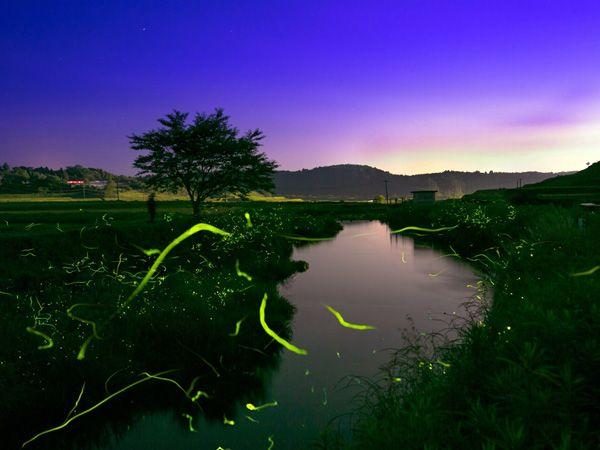 Watarase River and Nikashiki River
