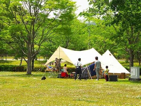 Dragon Campground
