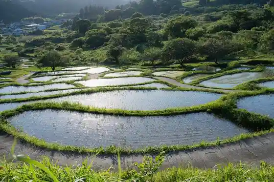 Sengamachi Rice Terraces