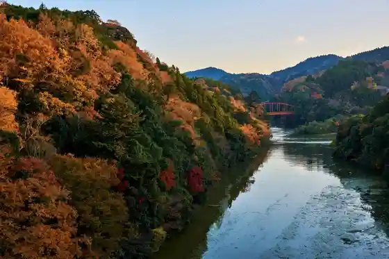Autumn Leaves / Kameyama Mizumi