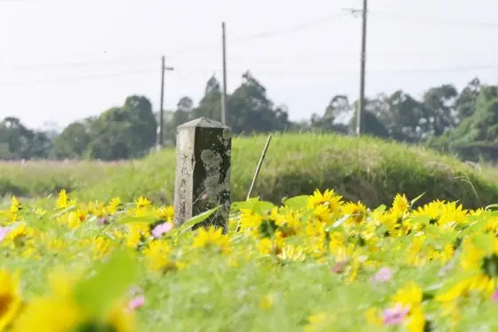 Tsukazaki Kofun Group