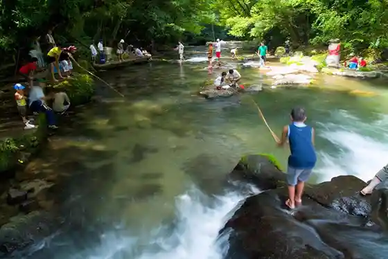 Oku-Hanase Rainbow Trout Fishing Ground