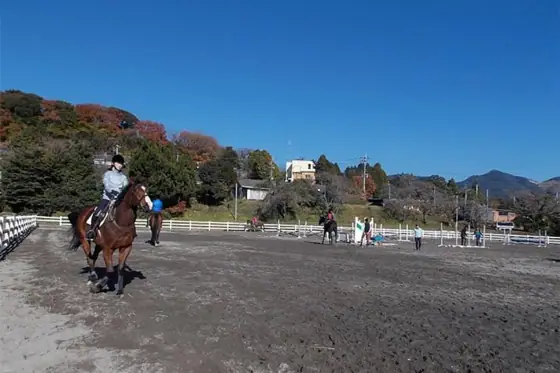 Kirishima Plateau Horse Riding Club
