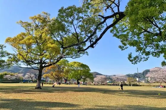 Hinatayama Onsen Park