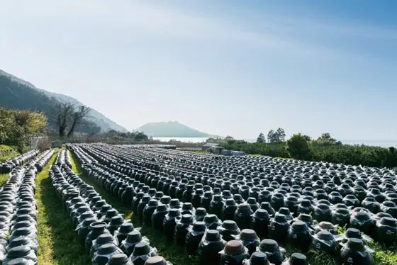 Kakushida Black Vinegar Village