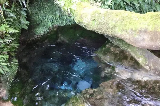 Oizumi Spring