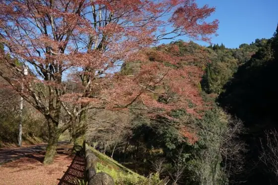 Shinkawa Gorge Area