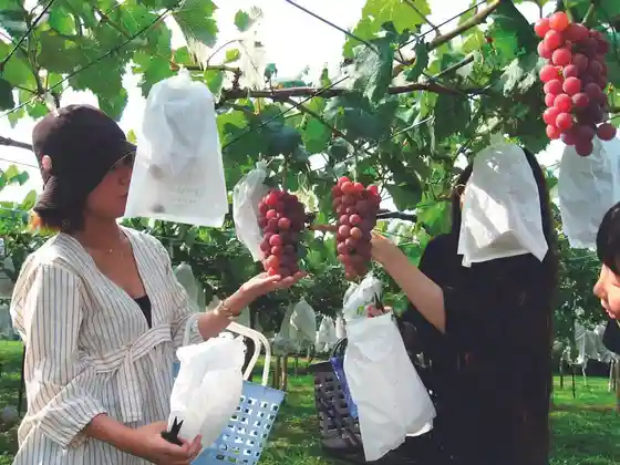 Hoshisada Tourist Farm