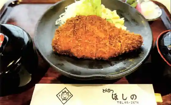 Tonkatsu Hoshino