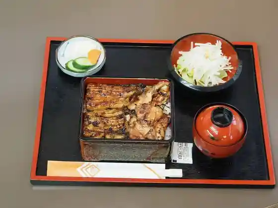 Akamatsu Eel