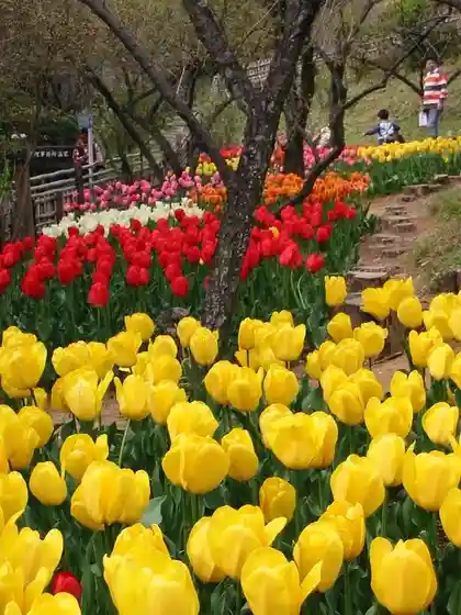 Azuma Park