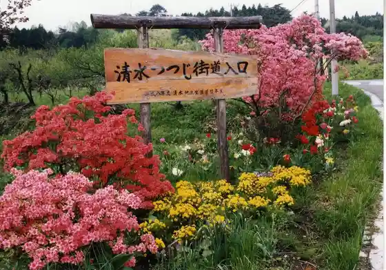 Shimizu Tsutsuji Kaido