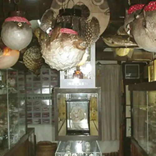 Fugu Museum