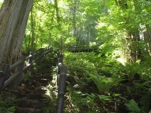 Aburagi Forest