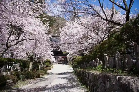 Toku Oto Tera