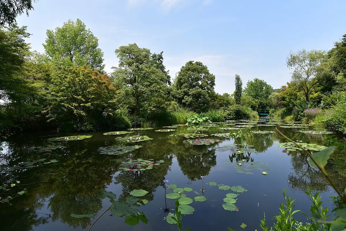 Monet's Garden Marmottan water garden, Kitagawa