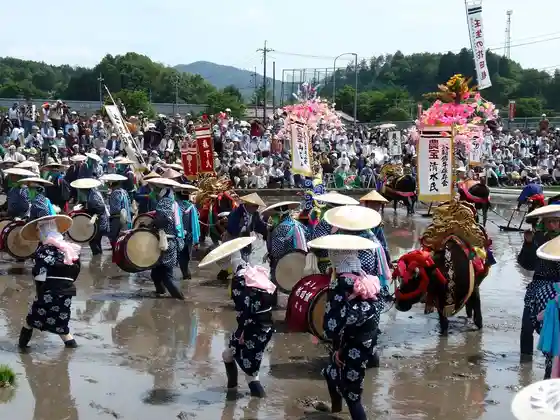 Mibu no Hanada Shoku