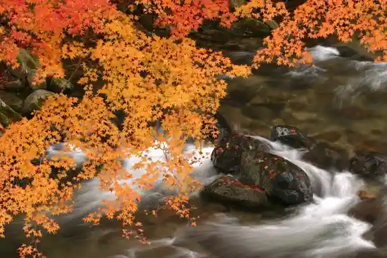Flower Garden Gorge