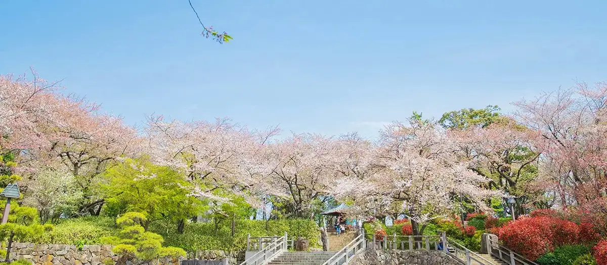 Asuka Yama Park