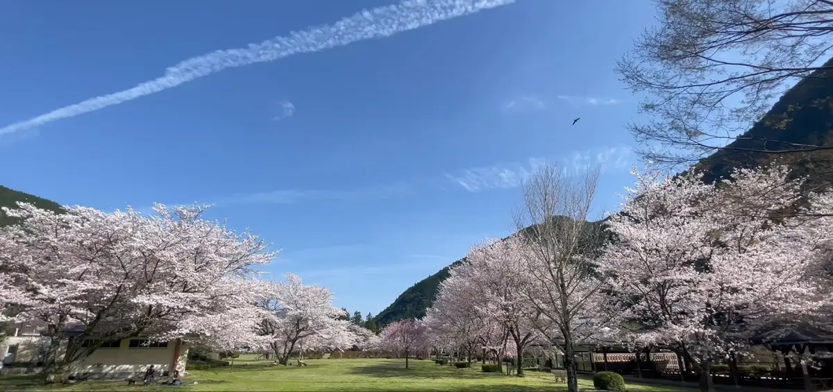Okutoro Park