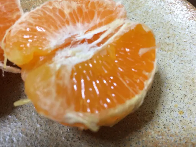 峠 たていしの館