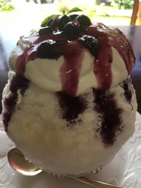 森の音色