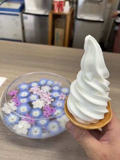 豊の国物産館カフェ