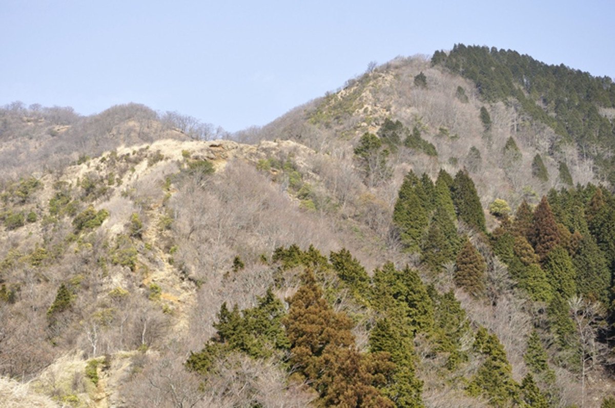 Shin-Dainichi