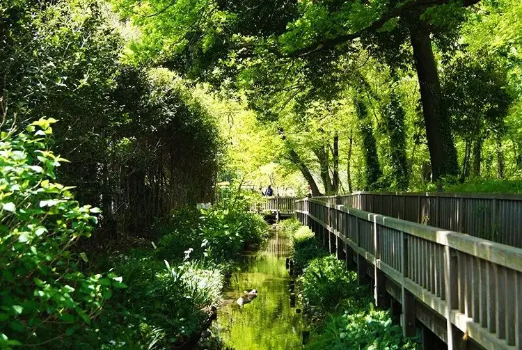 Kiyose Seseragi Park