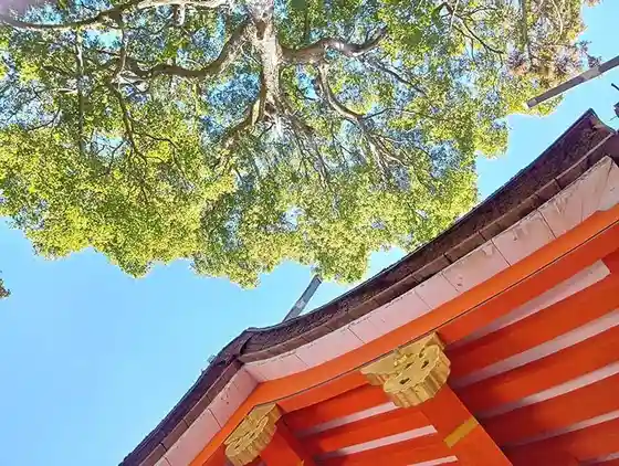 Okada Kamo Shrine