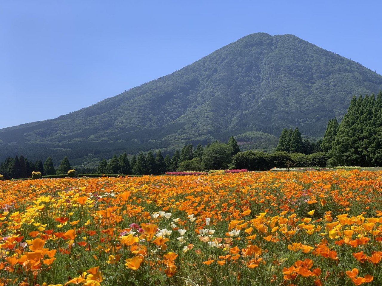 Ikoma Plateau