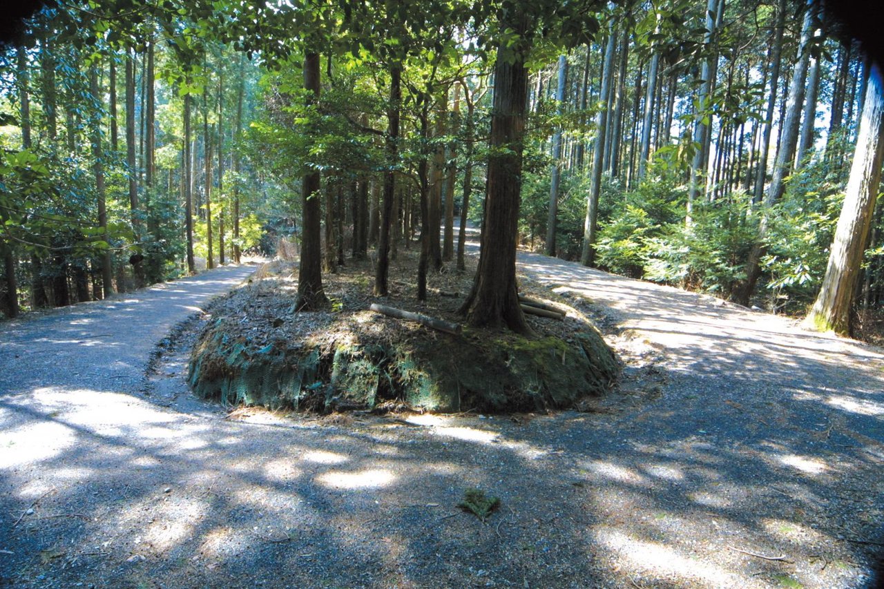 Hinamoridai Cross-Country Course (Yamazakura Course)