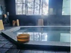 Iyashi No Yuyado Ryuga Onsen