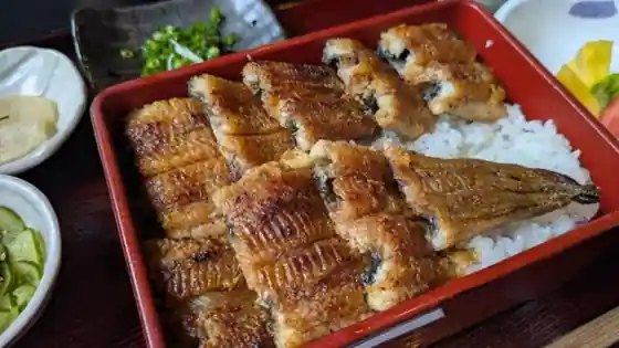 Unagi Tokoro Fuku