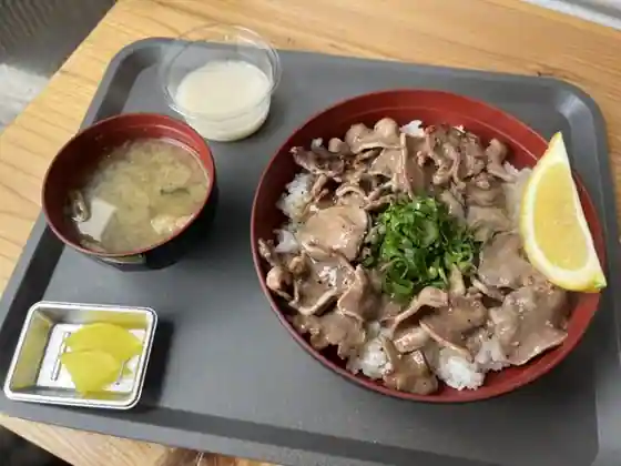 Tosa Chikara Buta Ya
