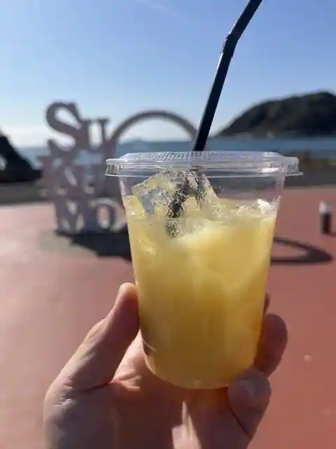 道の駅 すくも