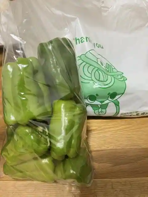 道の駅　かわうその里すさき