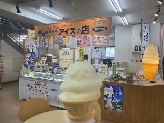 Yokohata Reika