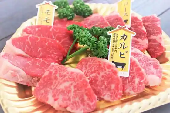 Tosa Sameura BBQ Terrace