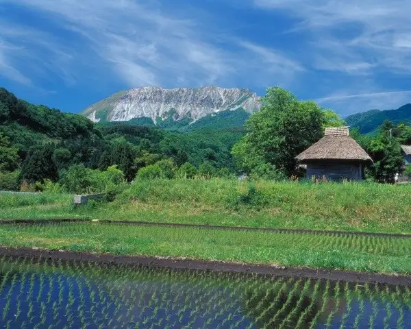 Oku Oyama O Tsukue