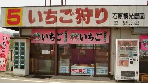 Ishihara Tourist Farm 5 Ban