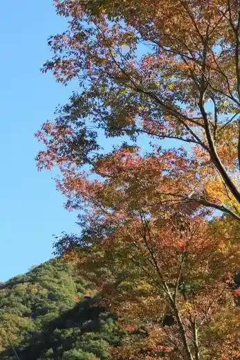Ashigawa Gorge
