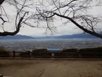 Takeda Forest