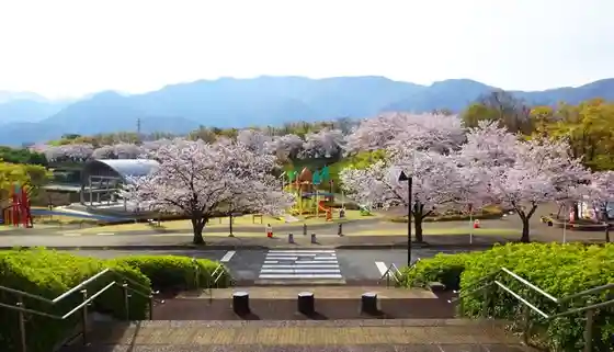 Yamanashi Prefectural Sone Hills Park