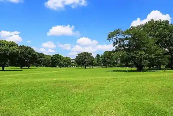 Toritsu Musashi Kokubunji Park